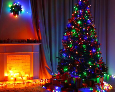 Nederland leidt de EU in handel in kerstgoederen, zowel bij export als import