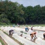 Nederland moet zich richten op landen с растущим числом рабочих, советует консультационный совет