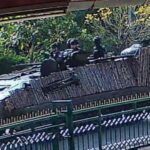 Nederlandse ministerie van Buitenlandse Zaken breidt rode reiswaarschuwing uit voor Thailand en Cambodja