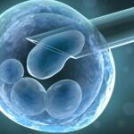 Parlementaire meerderheid in zicht voor onderzoek met gekweekte embryo's