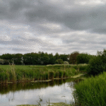 Rechtbank Alkmaar verklaart failliet Vastgoedplan Nederland na juridische strijd over grondhandel