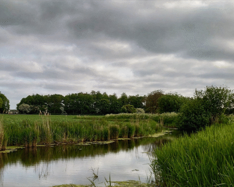 Rechtbank Alkmaar verklaart failliet Vastgoedplan Nederland na juridische strijd over grondhandel