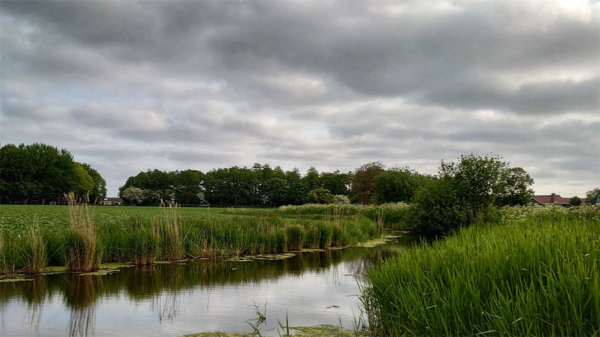 Rechtbank Alkmaar verklaart failliet Vastgoedplan Nederland na juridische strijd over grondhandel