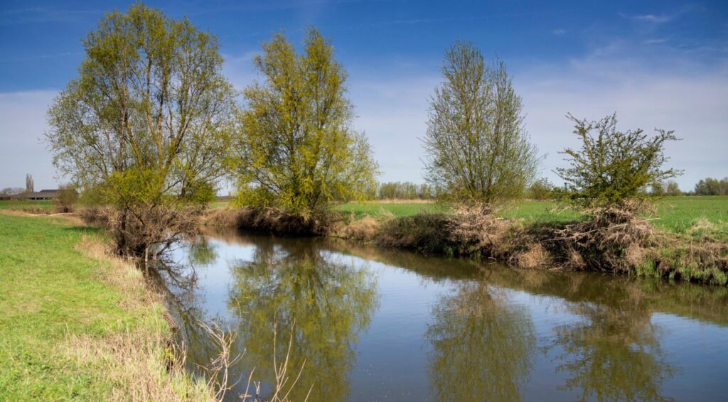 Recordwarmte op zondag, daarna lenteachtige temperaturen op maandag in Nederland