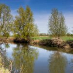 Recordwarmte op zondag gevolgd door lenteachtige temperaturen op maandag in Nederland