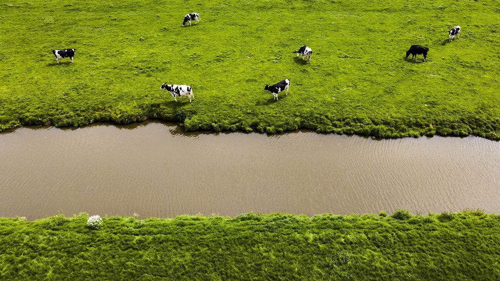 Ruzie in kabinet over mestplan, BBB-minister onder druk van eigen partij