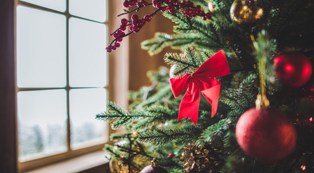 Stormachtig weekend voorspeld tijdens drukste verkoopdag van kerstbomen in Nederland