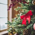 Stormachtig weekend voorspeld tijdens drukste verkoopdag van kerstbomen in Nederland