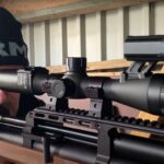 Terschelling: na de dood van 800 ratten blijft plaag nog steeds groeiende