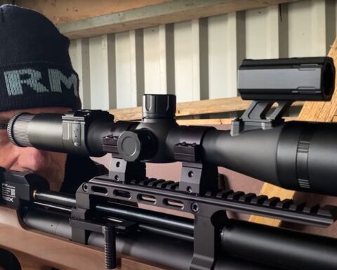 Terschelling: na de dood van 800 ratten blijft plaag nog steeds groeiende