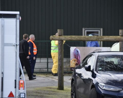 Vijfde uitbraak van vogelgriep in Ysselsteyn, 153.000 vleeskuikens geruimd