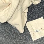 Virginiaanse familie eist $200.000 vanwege vermeende bedwantsenplaag op KLM-vlucht