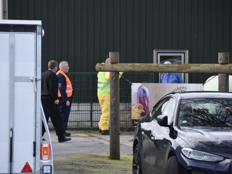 Vogelgriep opnieuw vastgesteld bij pluimveebedrijf in Ysselsteyn, vierde uitbraak in korte tijd