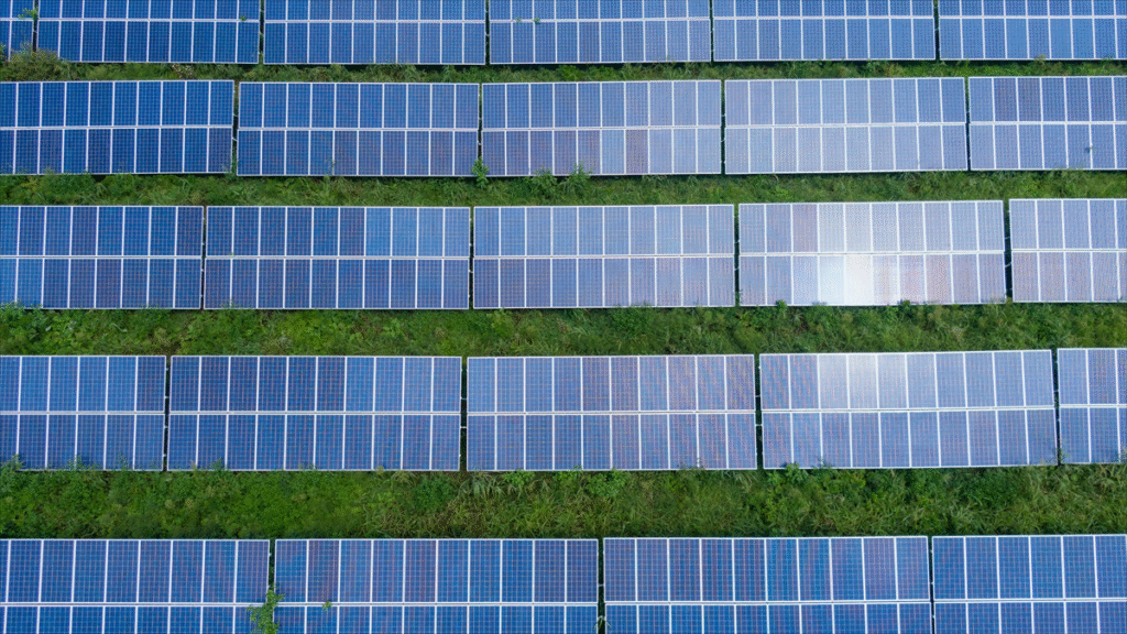 Zuid-Holland onderzoekt mogelijkheden voor zonnepanelen op 5.150 hectare landbouwgrond