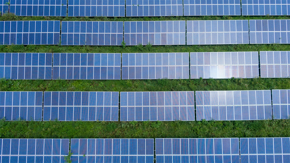 Zuid-Holland onderzoekt mogelijkheden voor zonnepanelen op 5.150 hectare landbouwgrond
