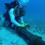 Beschadigde datakabel in de Oostzee vergroot zorgen over digitale veiligheid