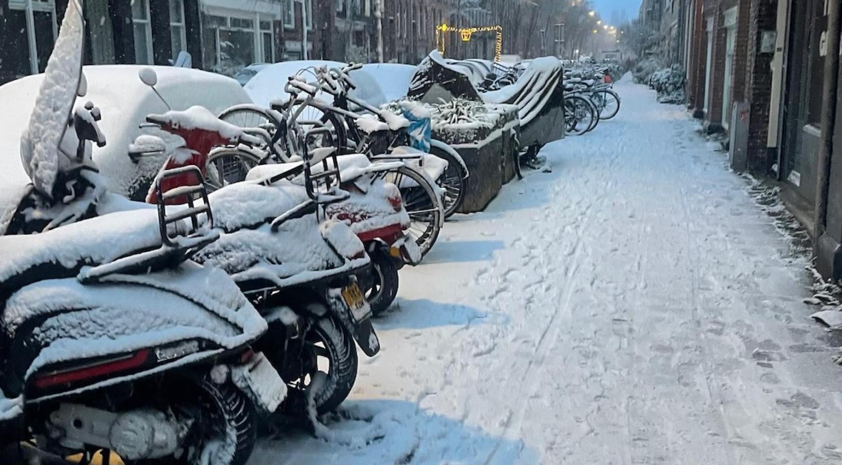 2026 heeft al de meeste sneeuwdagen in vijf jaar; Sneeuw steeds zeldzamer in Nederlandse winters