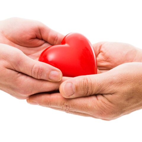 Aantal orgaantransplantaties in Nederland daalt, maar trend verbetert op lange termijn