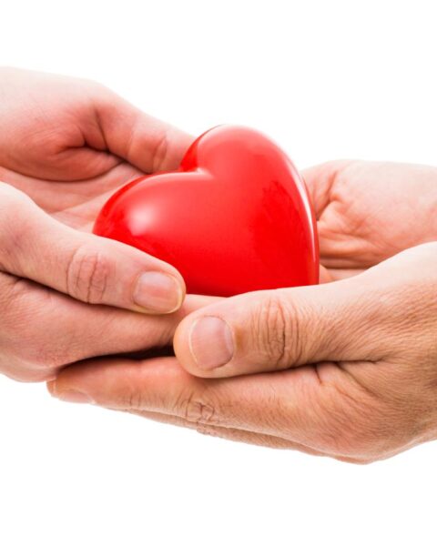 Aantal orgaantransplantaties in Nederland daalt, maar trend verbetert op lange termijn