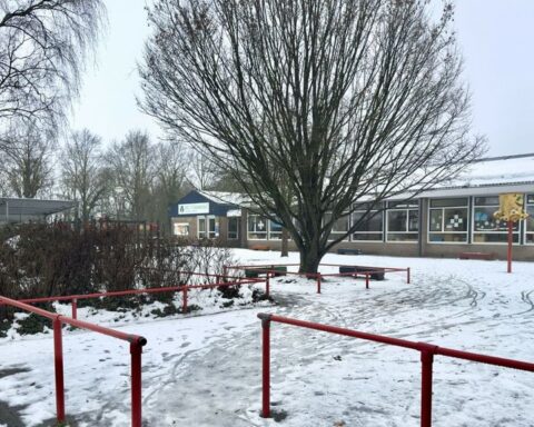 Basisschool 't Oelebröd in Ruinen gesloten vanwege waarneming van een mogelijke wolf dichtbij de school