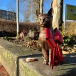 Bronzen beeld van geliefde stationkat Brammetje onthuld bij station Purmerend Weidevenne