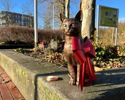 Bronzen beeld van geliefde stationkat Brammetje onthuld bij station Purmerend Weidevenne