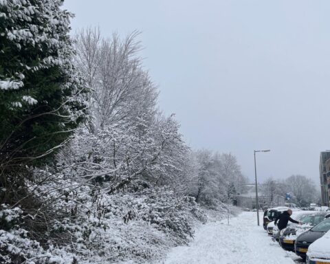 Code oranje: wees voorbereid op sneeuw, treinen rijden volgens aangepast schema