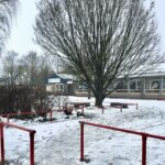 Extra toezichthouders geplaatst bij basisschool in Ruinen na sighting van wolf