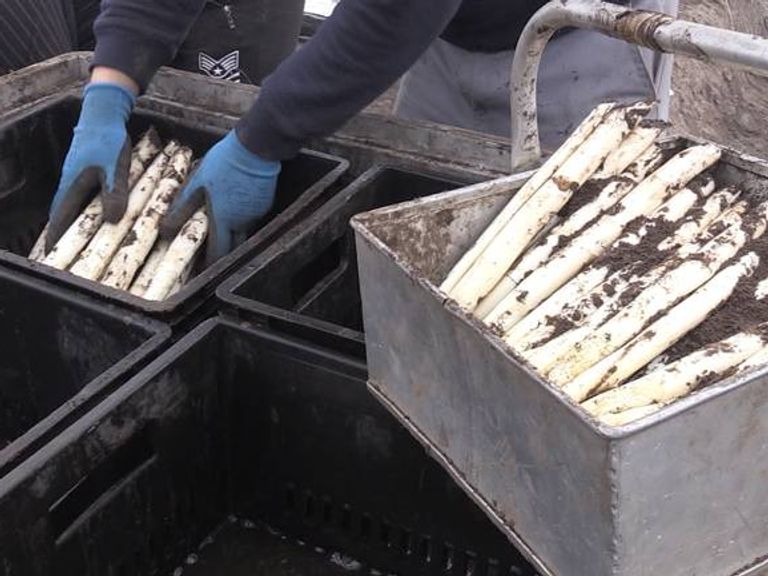 Helmond introduceert verblijfsbelasting voor arbeidsmigranten zonder inschrijving