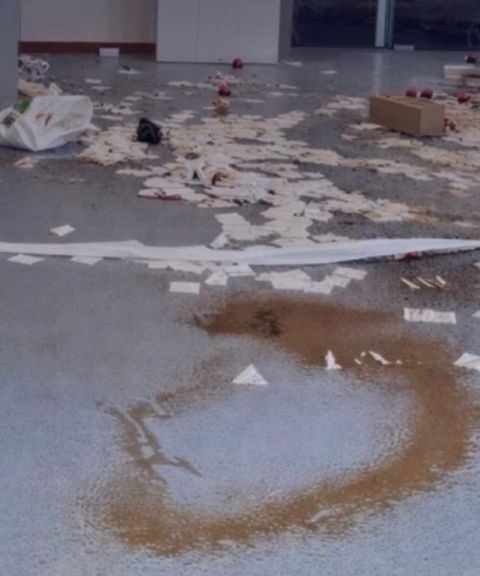 Kinderen veroorzaken schade in ziekenhuis Franciscus Vlietland in Schiedam