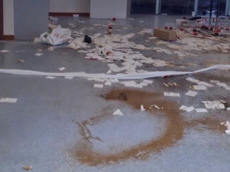 Kinderen veroorzaken schade in ziekenhuis Franciscus Vlietland in Schiedam