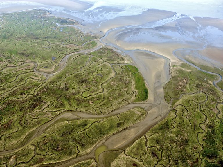 Langdurig baggeren in de Westerschelde leidt tot natuurverlies