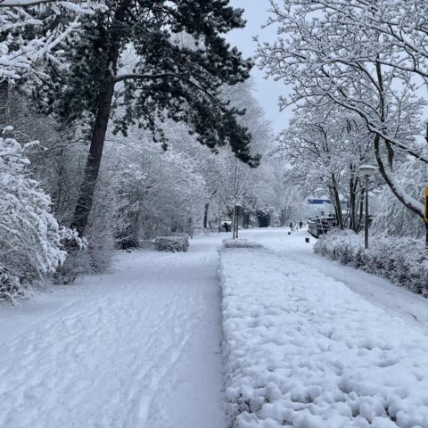 Meer sneeuw en ijzige omstandigheden verwacht; -10,2°C in Utrechtse dorp Cabauw vanavond
