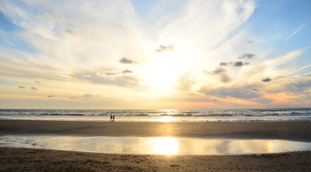 Menselijke kaak met goudEN tanden gevonden op het strand van Wijk aan Zee