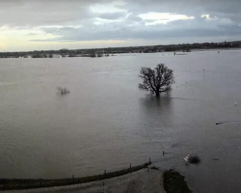 Nederland niet voorbereid op gevolgen van zware regen: Nederlandse Veiligheidsraad
