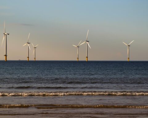Nederland verlaagt offshore windbouw met de helft door financierings- en marktkwesties