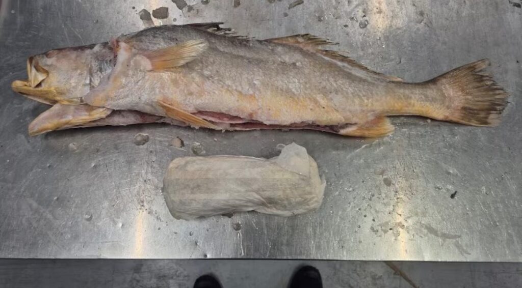 Politie ontdekt 319 kilo cocaïne in diepgevroren viszending in Barneveld