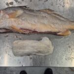 Politie ontdekt 319 kilo cocaïne in diepgevroren viszending in Barneveld