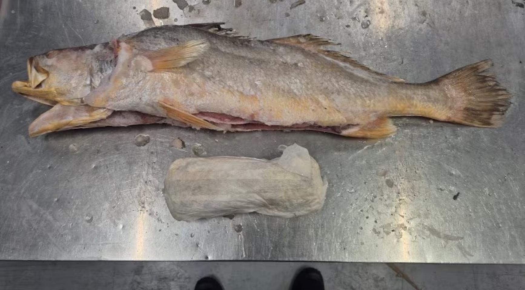 Politie ontdekt 319 kilo cocaïne in diepgevroren viszending in Barneveld