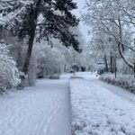 Rijkswaterstaat roept op tot thuiswerken woensdag door zware sneeuwval