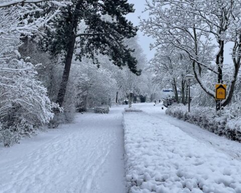 Rijkswaterstaat roept op tot thuiswerken woensdag door zware sneeuwval