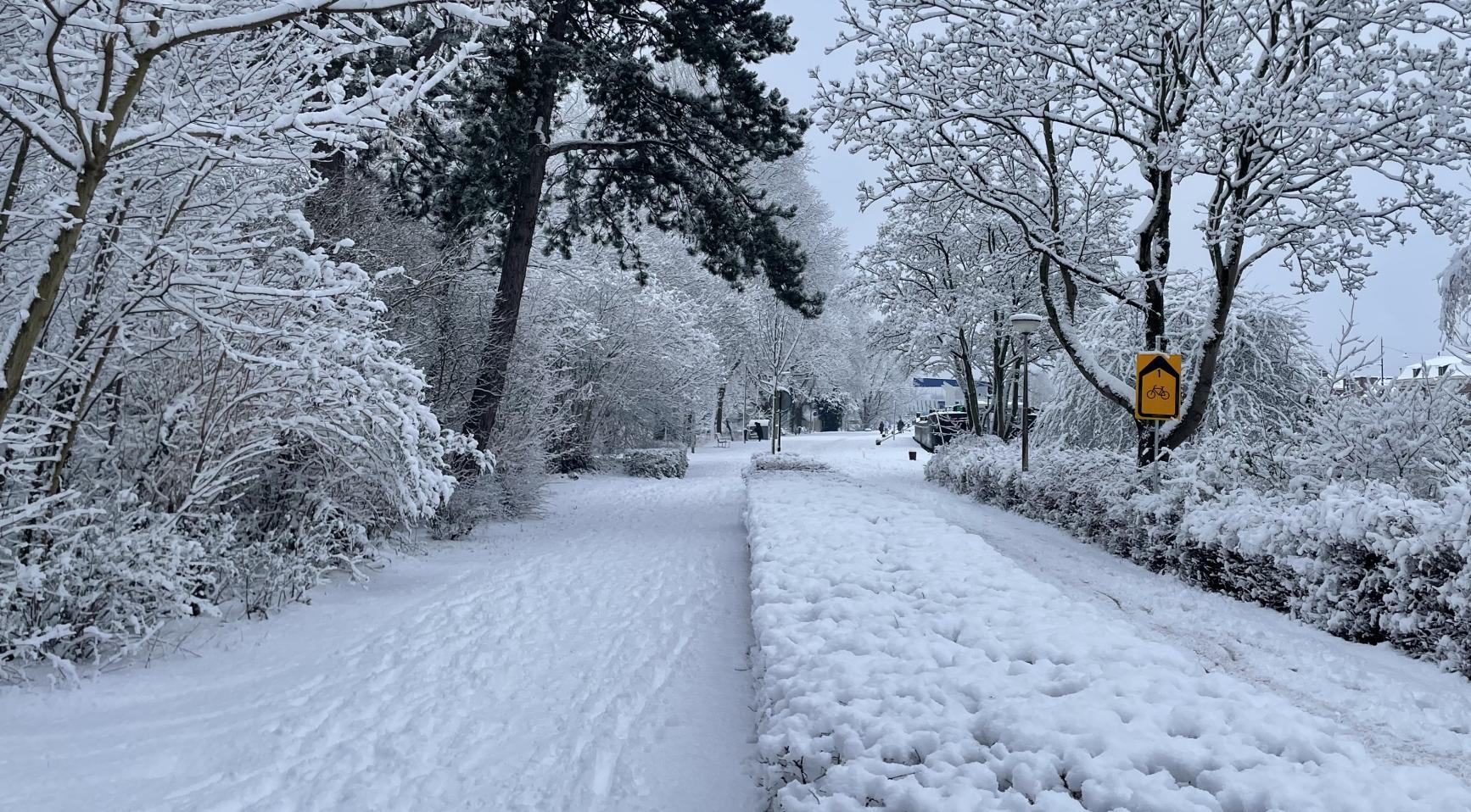 Rijkswaterstaat roept op tot thuiswerken woensdag door zware sneeuwval