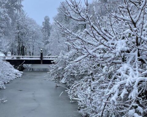 Sneeuw bedekt grote delen van Nederland, met tot 10 cm in de Limburgse heuvels