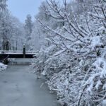 Sneeuwval bedekt grote delen van Nederland, tot 7 cm in Limburgse heuvels