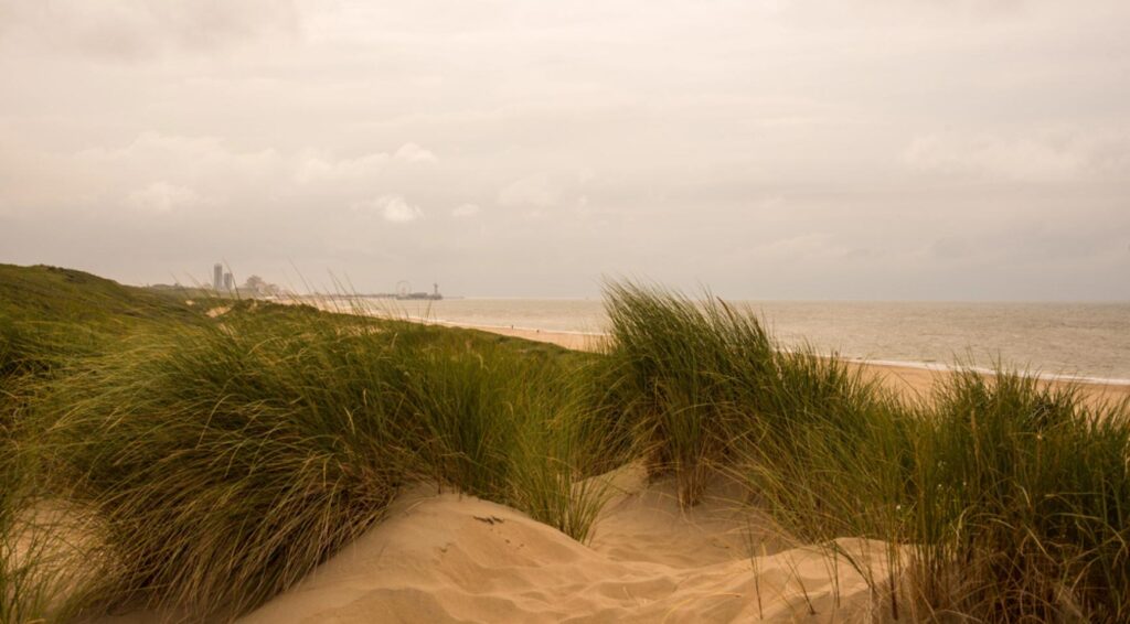 Sterke winden annuleren nieuwjaarsduik in Scheveningen voor tweede jaar op rij