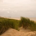 Sterke winden annuleren nieuwjaarsduik in Scheveningen voor tweede jaar op rij