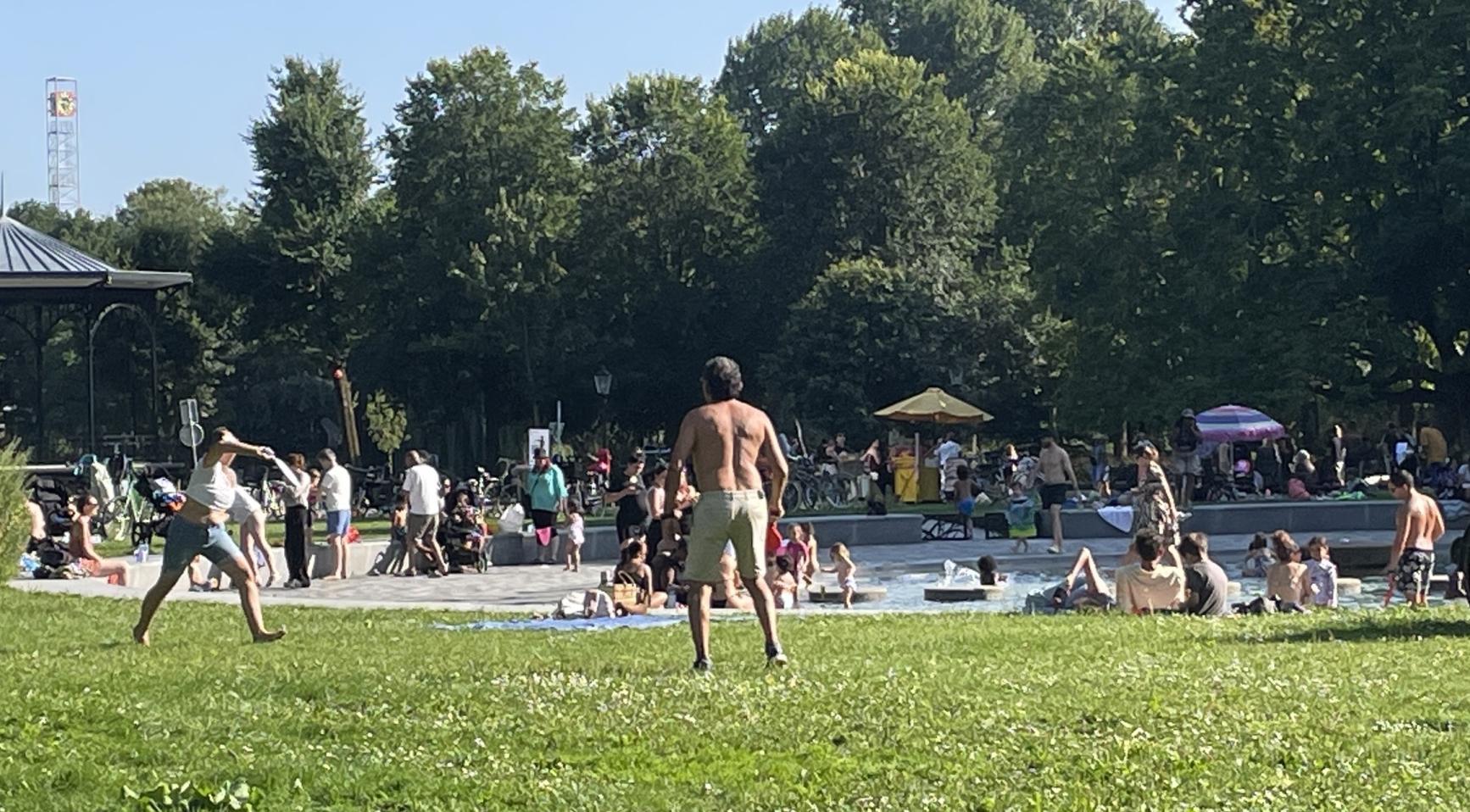 Tien warmste jaren in Nederland dit eeuw; 2025 was uitzonderlijk zonnig en droog