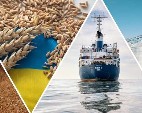 Oekraïense biologische landbouw versterkt strategische bevoorrading van de EU