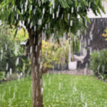 Verzekeraars roepen op tot norm voor klimaatadaptief bouwen in Nederland