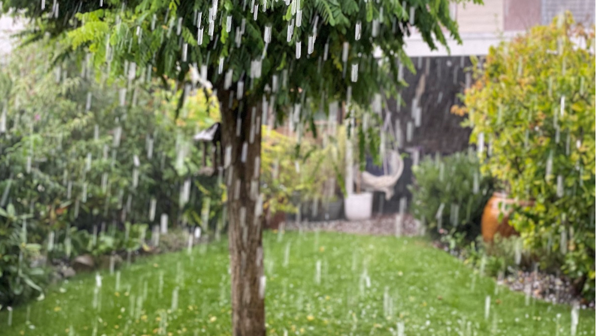 Verzekeraars roepen op tot norm voor klimaatadaptief bouwen in Nederland